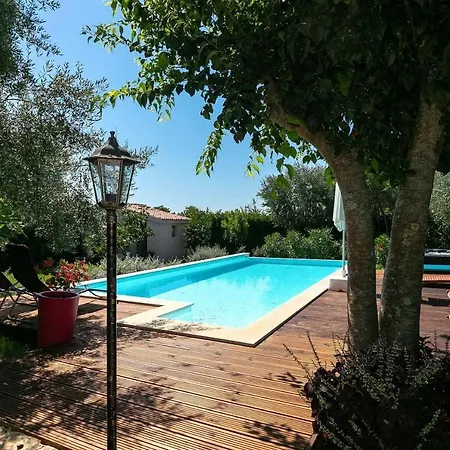 Rossa Rosini